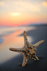 Image showing summer beach sunset with star on beach