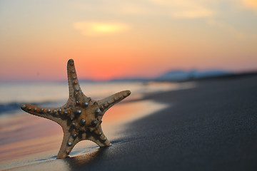 Image showing summer beach sunset with star on beach