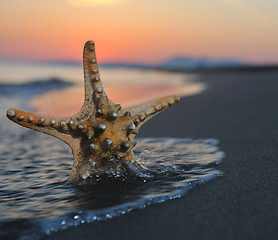 Image showing summer beach sunset with star on beach