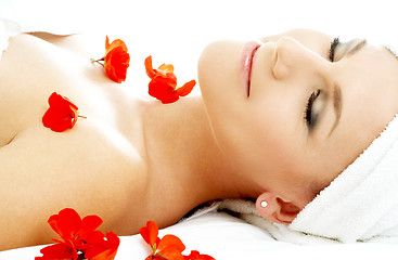 Image showing red flower petals spa #2