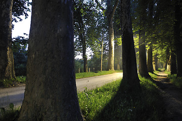 Image showing sunrise in beautiful alley 