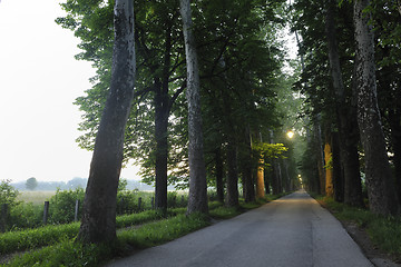 Image showing sunrise in beautiful alley 