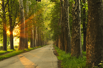 Image showing sunrise in beautiful alley 