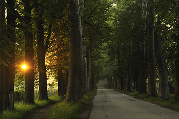 Image showing sunrise in beautiful alley 