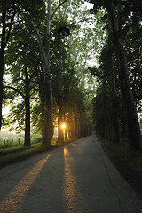 Image showing sunrise in beautiful alley 