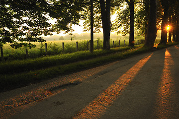 Image showing sunrise in beautiful alley 