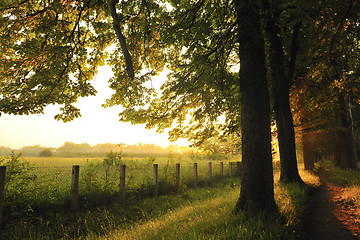 Image showing sunrise in beautiful alley 