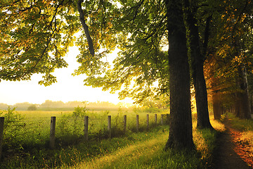 Image showing sunrise in beautiful alley 