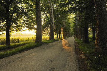 Image showing sunrise in beautiful alley 