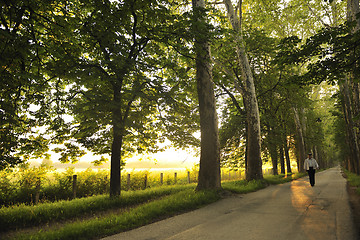 Image showing senior man walk in nature at sunrise