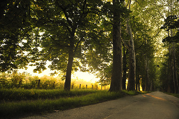 Image showing sunrise in beautiful alley 