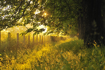 Image showing sunrise in beautiful alley 