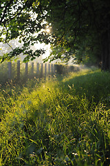 Image showing sunrise in beautiful alley 