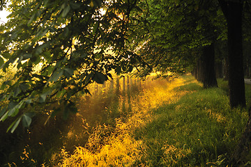 Image showing sunrise in beautiful alley 