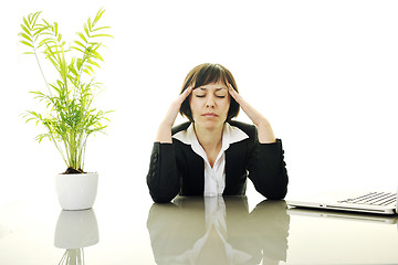 Image showing business woman working on laptop