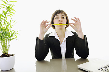 Image showing business woman working on laptop