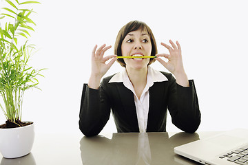 Image showing business woman working on laptop