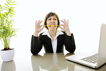 Image showing business woman working on laptop