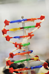 Image showing dna chain spiral