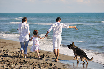 Image showing happy family playing with dog on beach