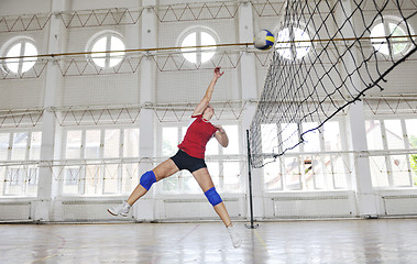 Image showing girls playing volleyball indoor game