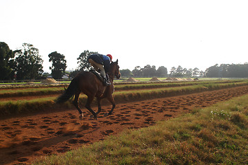 Image showing at the races