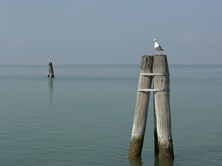 Image showing Secret lagoon of Venice