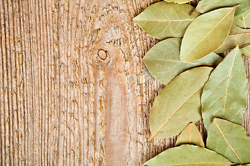 Image showing bay leaves 