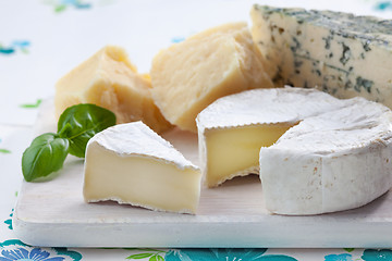 Image showing Various types of cheese