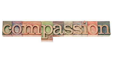 Image showing compassion word in wood type