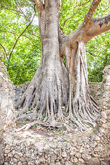 Image showing Gede Ruins