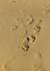 Image showing Sea sand with footprints 