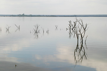 Image showing dam