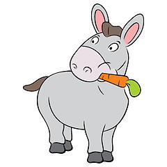 Image showing Cute donkey