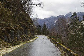 Image showing run-down road in rural landscape