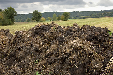 Image showing Manure heap