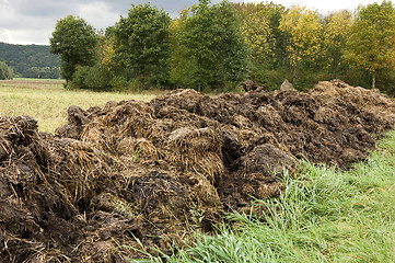 Image showing Manure heap