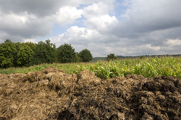 Image showing Manure heap