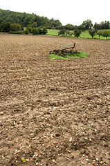 Image showing Island in the soil