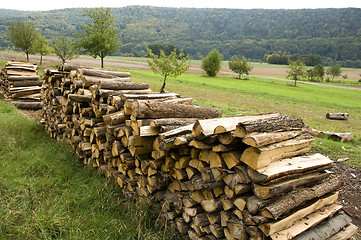 Image showing Piles of wood