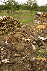 Image showing Piles of wood