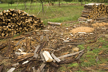 Image showing Piles of wood