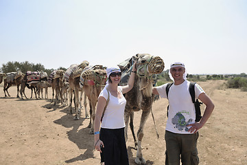 Image showing camel