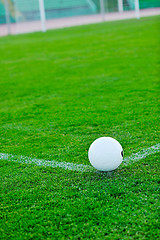 Image showing Soccer ball on grass at goal and stadium in background