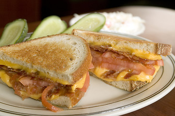 Image showing grilled cheese sandwich