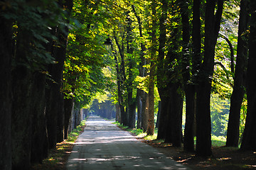 Image showing sunrise in beautiful alley