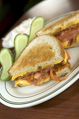 Image showing grilled cheese sandwich