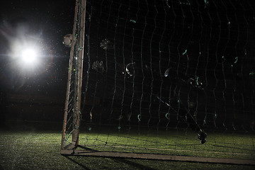 Image showing soccer   goal keeper