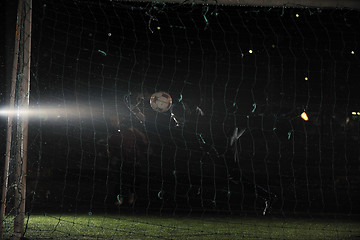 Image showing soccer   goal keeper