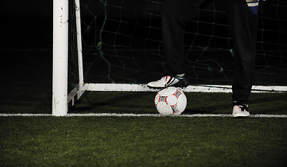 Image showing soccer   goal keeper